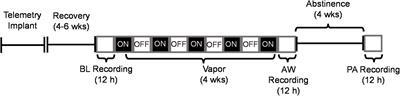 Effects of Alcohol Withdrawal on Sleep Macroarchitecture and Microarchitecture in Female and Male Rats